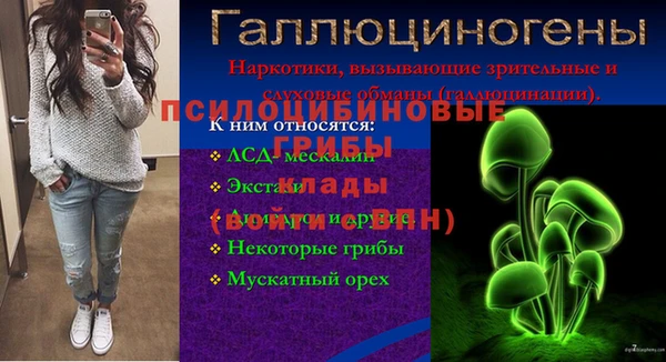 эйфоретик Балахна